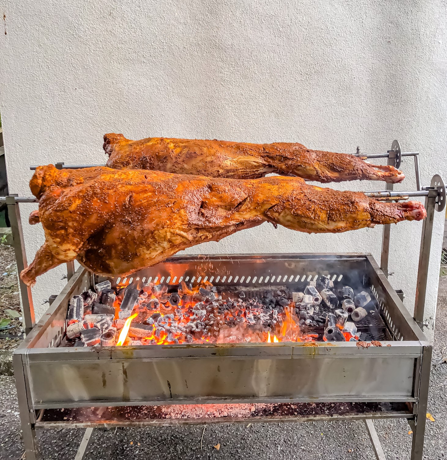 kambing golek shah alam kuala lumpur. kambing golek aqiqah shah alam terbaik